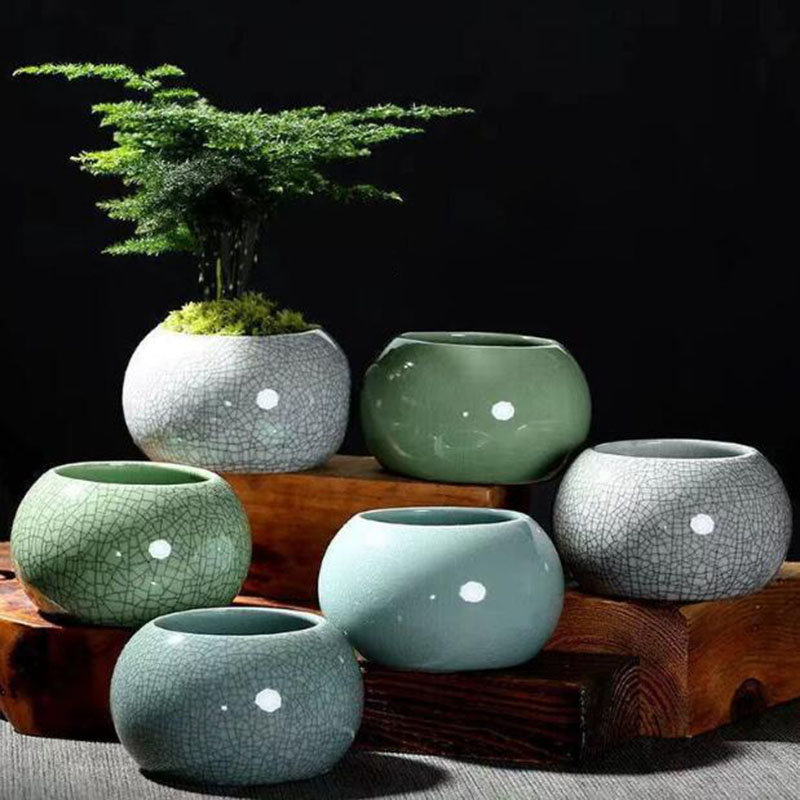 Aloe Vera Pot - Creative Handmade Geyao Ice Crack Round