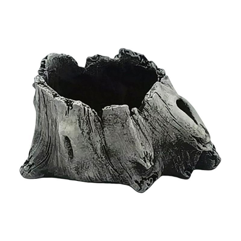 Aloe Vera Pot - E8BD Xi măng Gỗ lũa Mọng