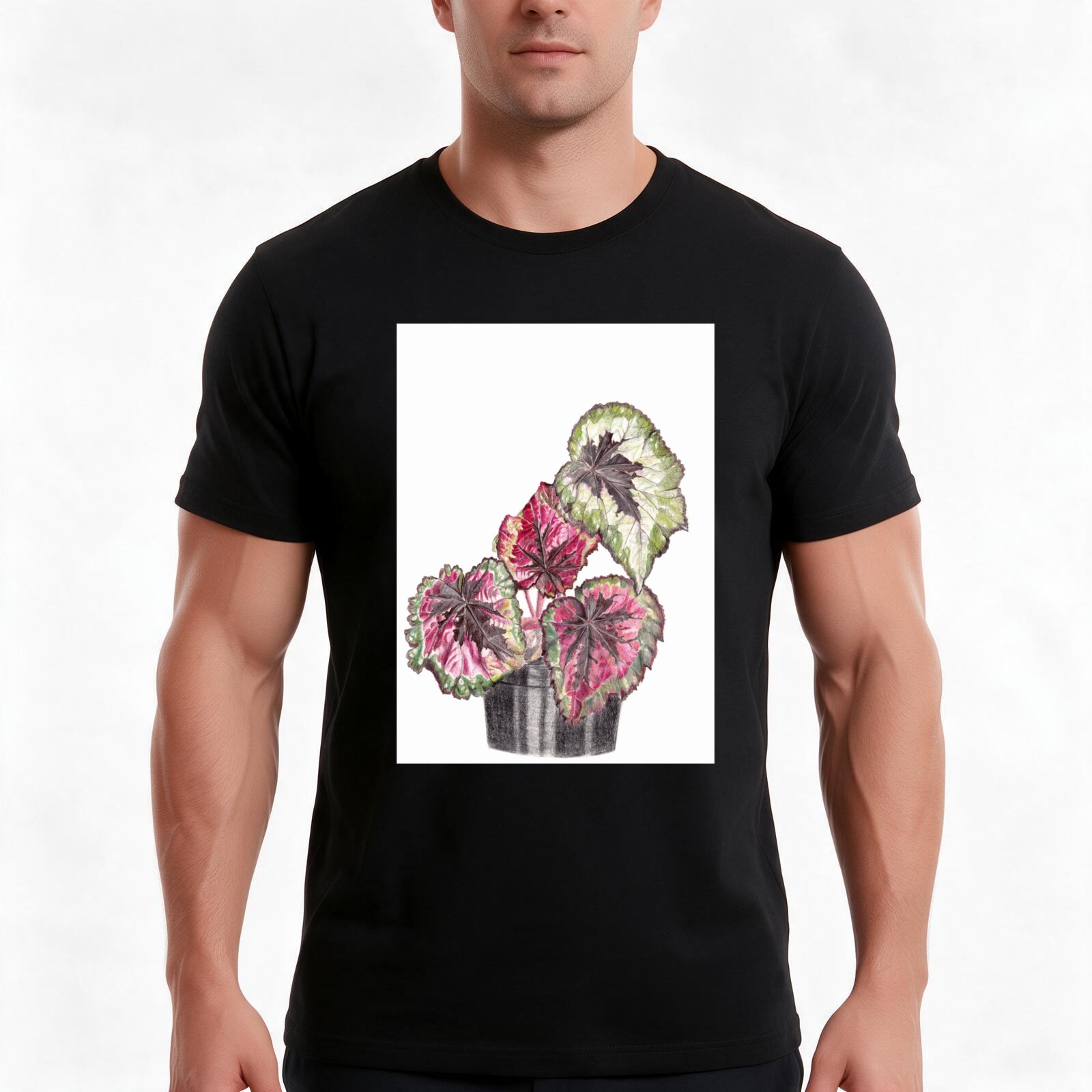 Begonia Rex T-Shirt, Summer Ca - đánh giá và giá Begonia Rex