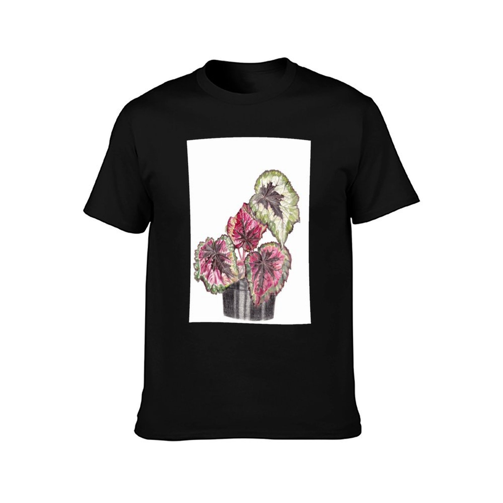 Begonia Rex T-Shirt, Summer Ca - đánh giá và giá Begonia Rex