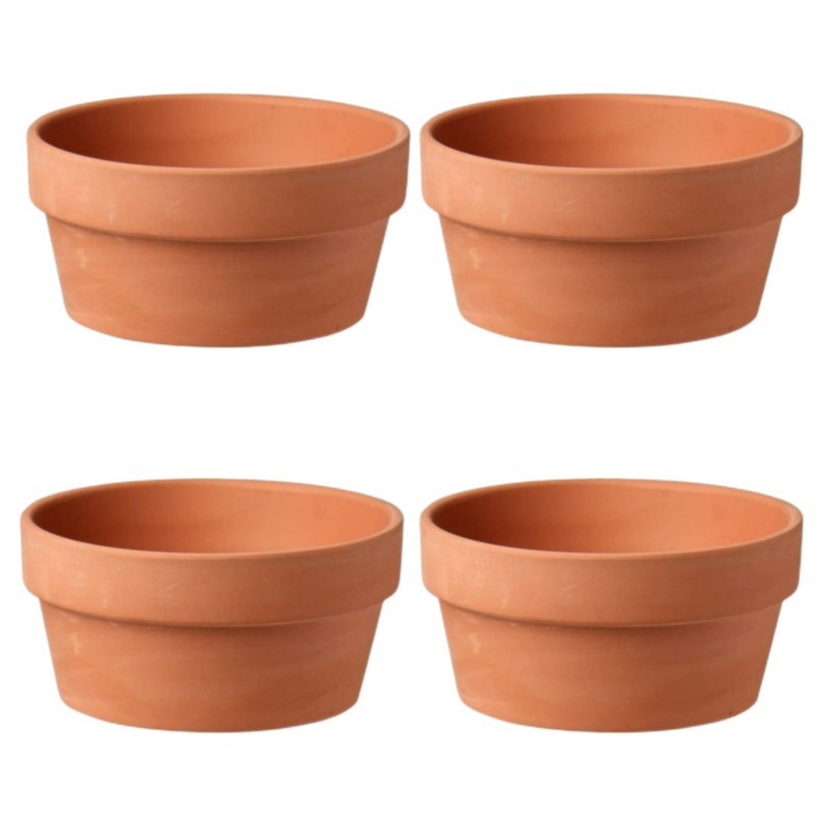 6 PCS Terracotta Buld Pots 3.5 - đánh giá và giá Aloe Vera Pot