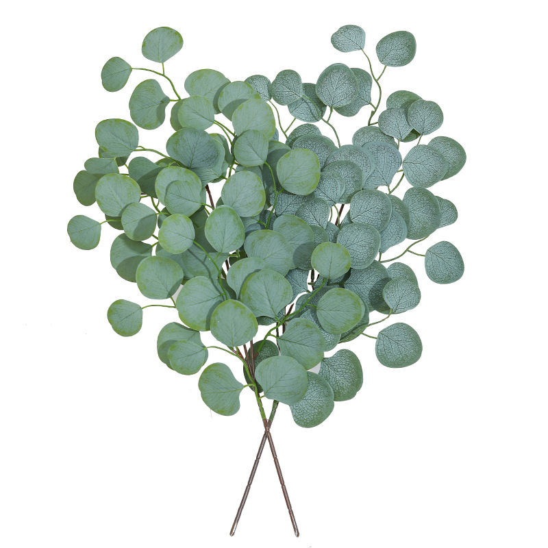 Eucalyptus Leaf Vine Artificia - đánh giá và giá Dracaena Marginata
