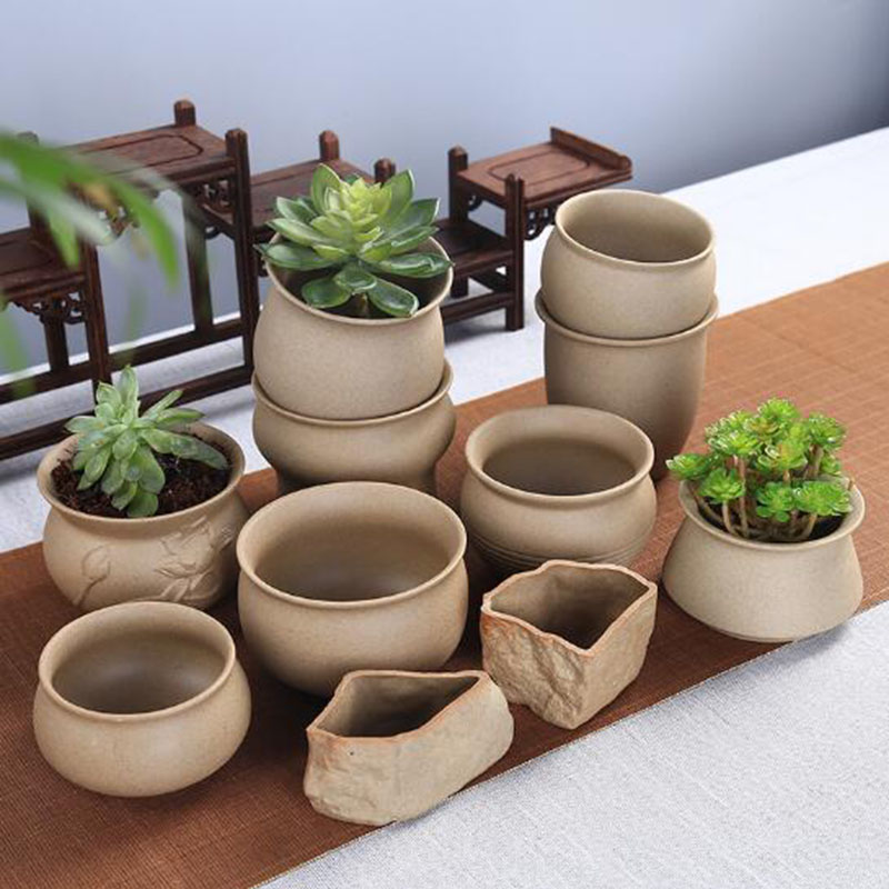 Retro Thô Gốm Thực Vật Mọng Nư - đánh giá và giá Aloe Vera Pot