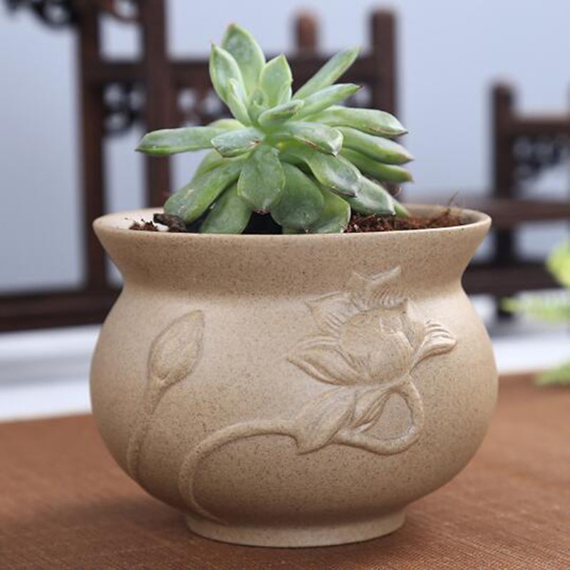 Retro Thô Gốm Thực Vật Mọng Nư - đánh giá và giá Aloe Vera Pot