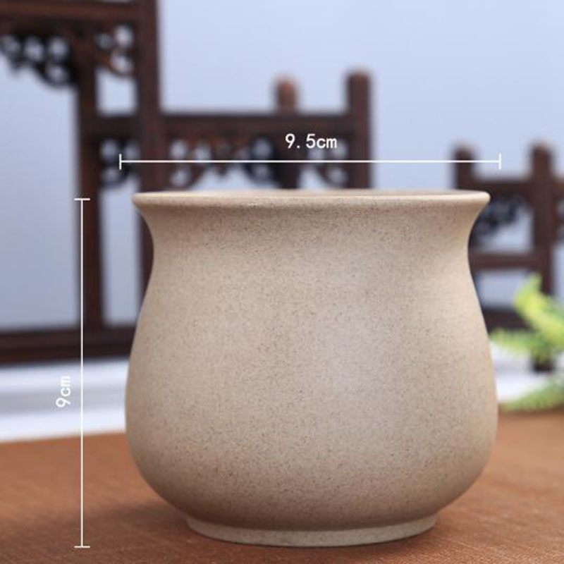 Retro Thô Gốm Thực Vật Mọng Nư - đánh giá và giá Aloe Vera Pot