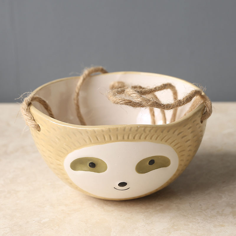 1Pcs Ceramic Hanging Plant Pot - đánh giá và giá Aloe Vera Pot