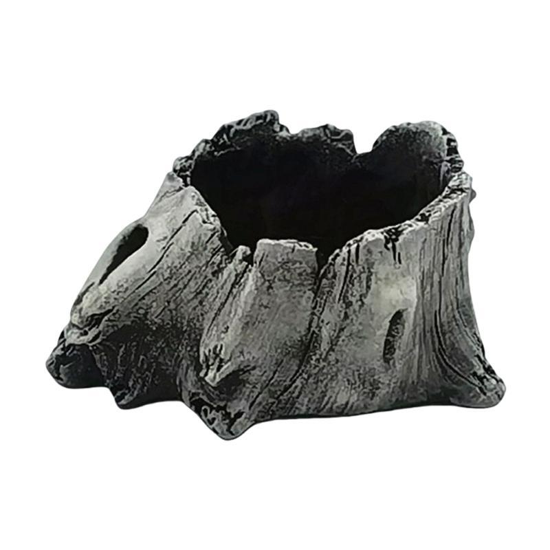 E8BD Xi măng Gỗ lũa Mọng nước  - đánh giá và giá Aloe Vera Pot