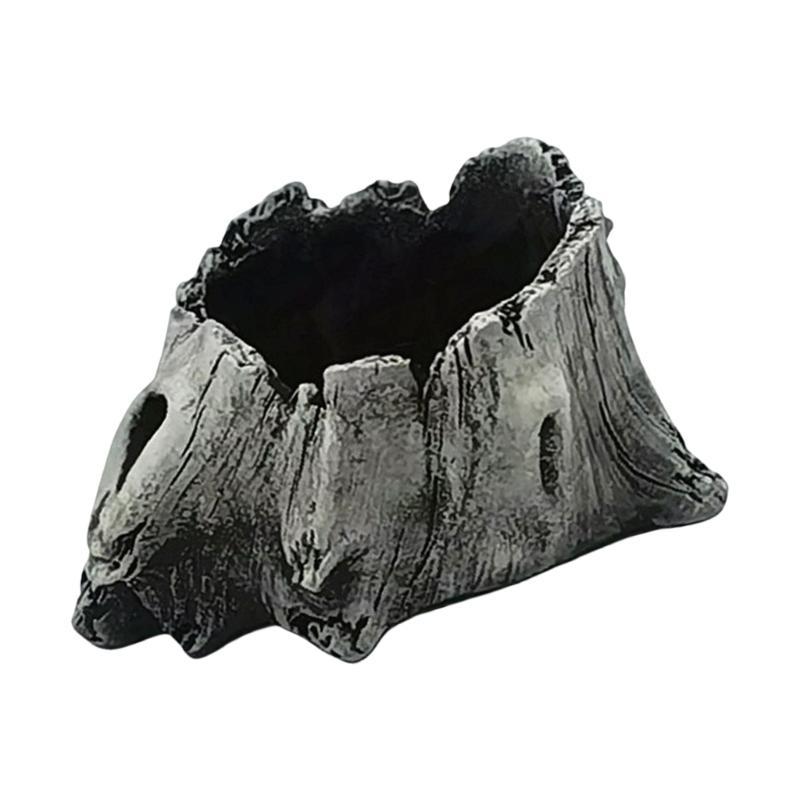 E8BD Xi măng Gỗ lũa Mọng nước  - đánh giá và giá Aloe Vera Pot