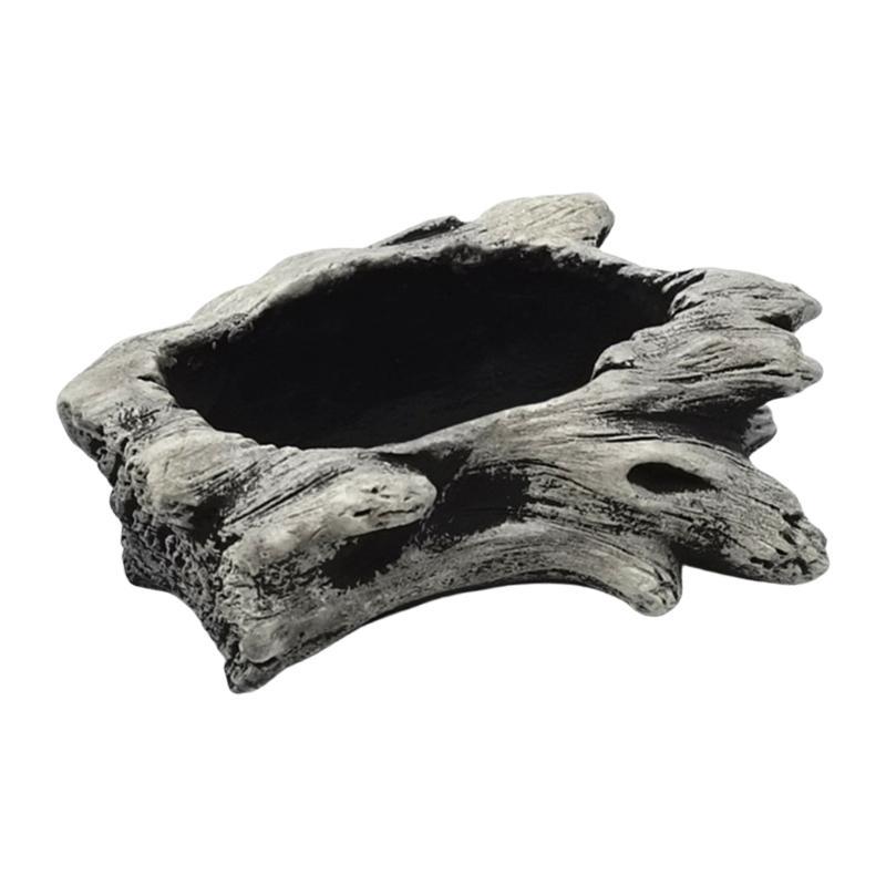 E8BD Xi măng Gỗ lũa Mọng nước  - đánh giá và giá Aloe Vera Pot